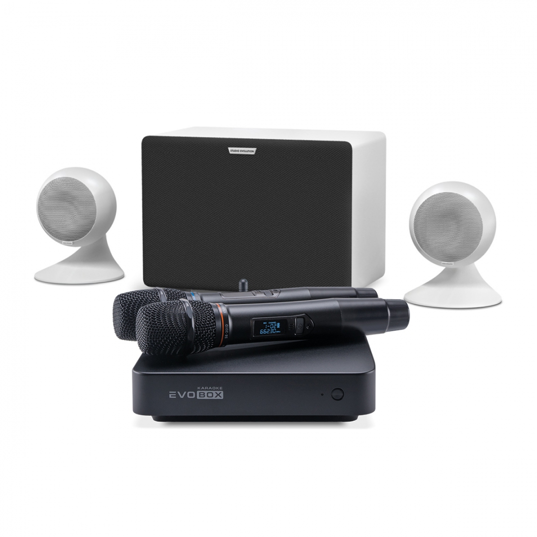 караоке-комплект EVOBOX Classic + EvoSound Sphere 2.1 в Новом Осколе