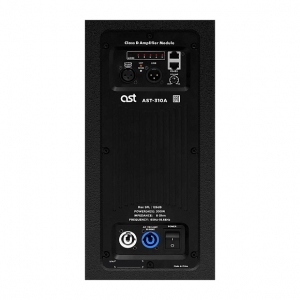 Активная акустическая система AST-310A в Новом Осколе